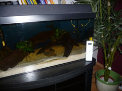 aquarium2
